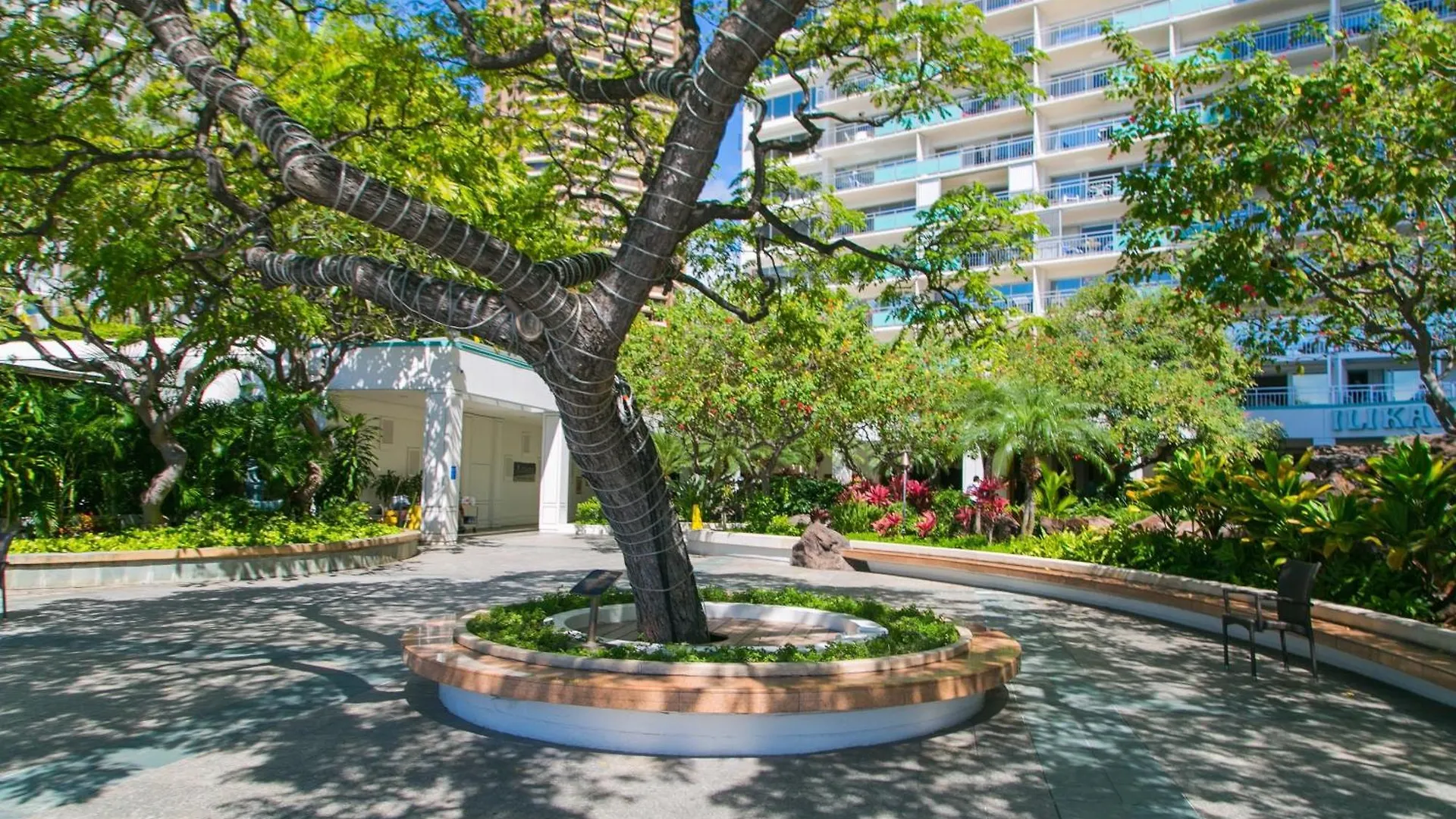 Fully Furnished Ilikai Tower 525 Condo With Free Wifi, Near Best Waikiki Beaches! Honolulu